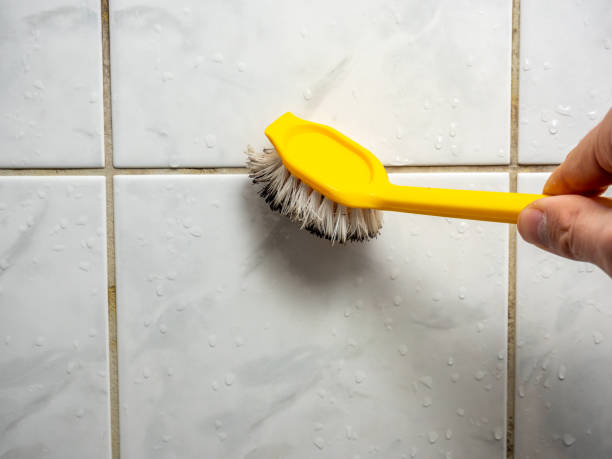 Best Water Damage Restoration  in Quail Creek, TX