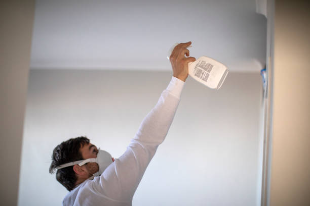 Best Affordable Mold Removal  in Quail Creek, TX