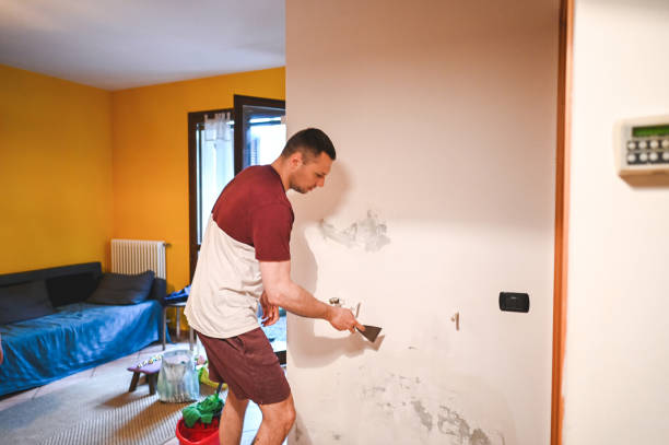 Best Local Mold Removal Service  in Quail Creek, TX